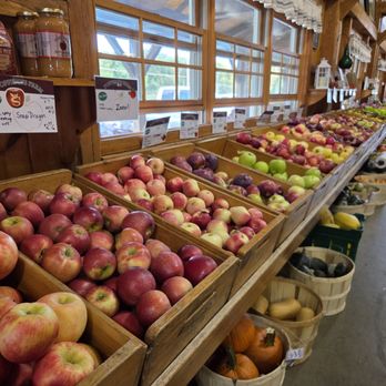 Foppema's Farm - Apple Season! - Fruits & Veggies Near Me - Northbridge, Massachusetts Foppema's Farm - Apple Season! - Fruits & Veggies Near Me - Northbridge, Massachusetts