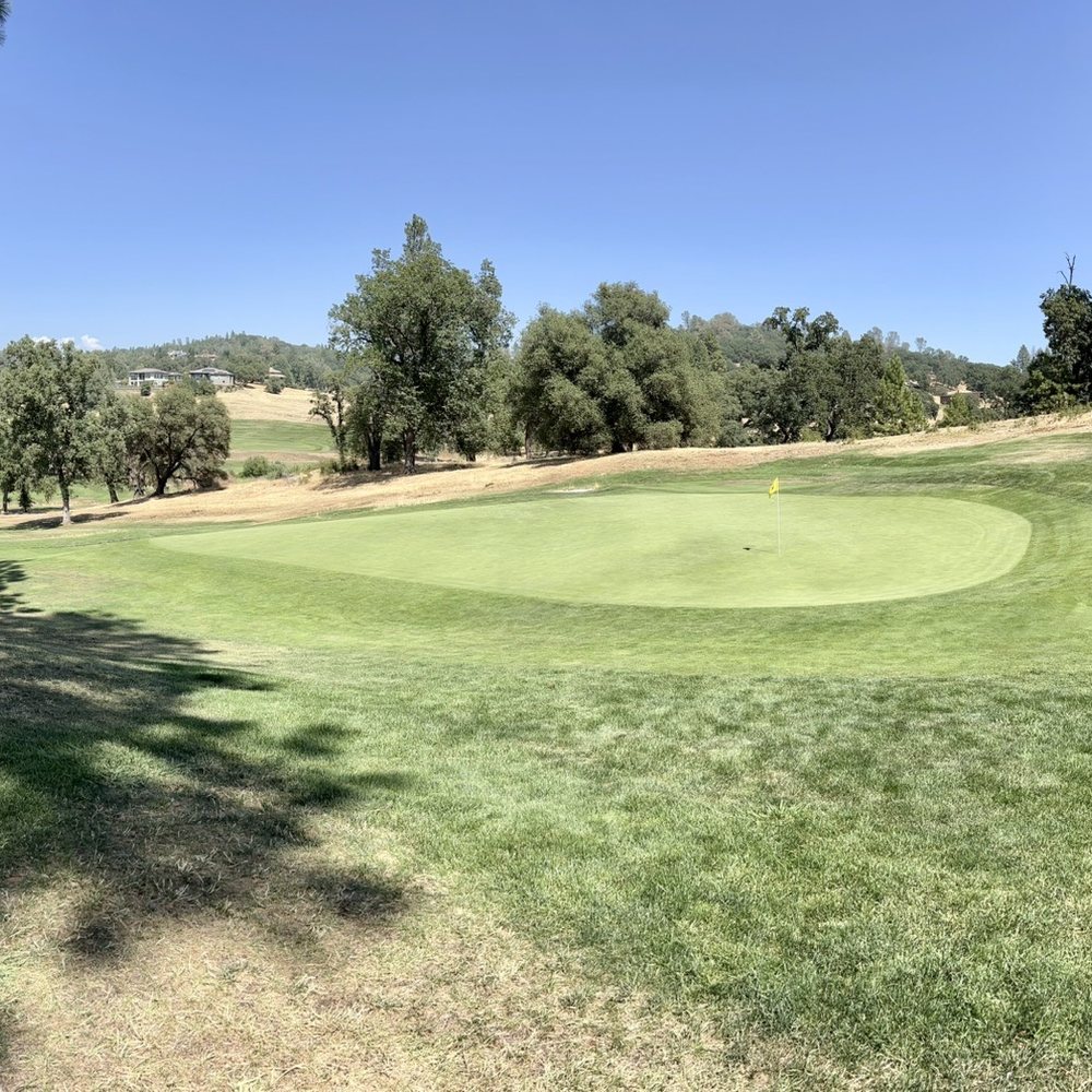 TOP 10 BEST Public Golf Courses near West Sacramento, CA 95691 - Updated  2026 - Yelp