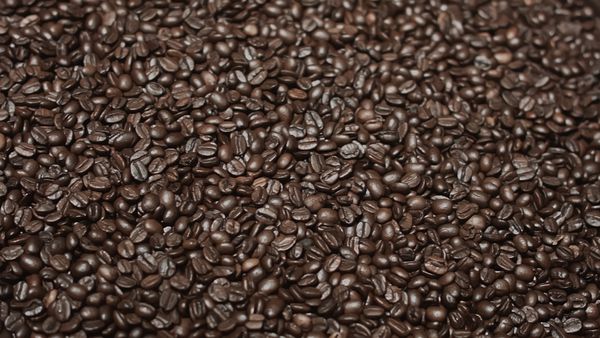 PJ's Coffee by null