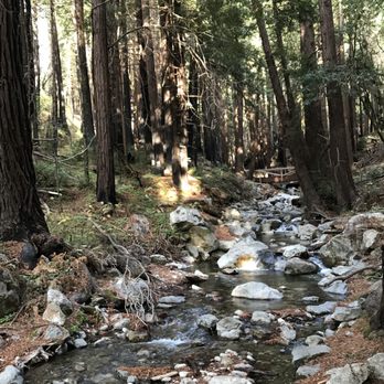 Limekiln State Park - Campgrounds Near Me - Big Sur, California Limekiln State Park - Campgrounds Near Me - Big Sur, California