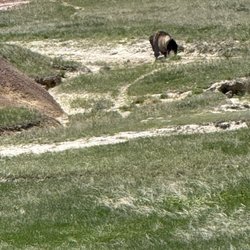 Conata Basin Overlook