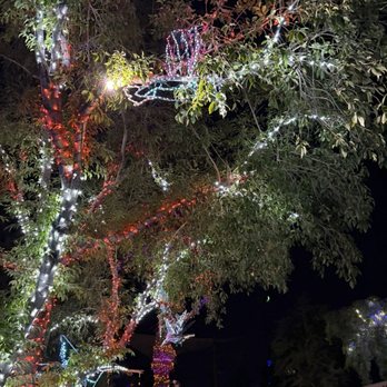 Zoolights - Zoos Near Me - Phoenix, Arizona