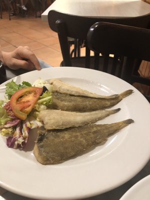 Casa Lazo. Cadiz by null