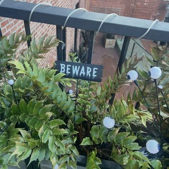 Tea Square Boba - Beware outside of Tea Square at Ghirardelli Square - Bubble Tea Near Me - San Francisco, California Tea Square Boba - Beware outside of Tea Square at Ghirardelli Square - Bubble Tea Near Me - San Francisco, California
