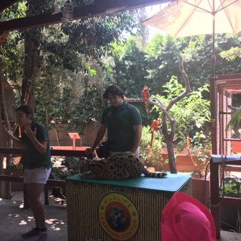 Wildlife Learning Center - Zoos Near Me - Sylmar, California