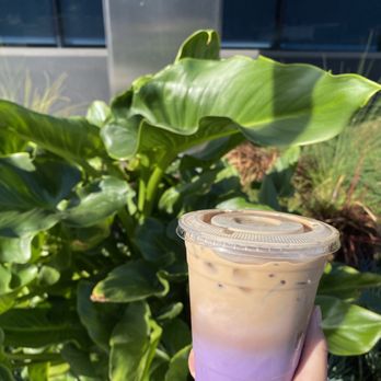 Wall Writers Coffee - Ube Latte - Coffee & Tea Near Me - Irvine, California Wall Writers Coffee - Ube Latte - Coffee & Tea Near Me - Irvine, California