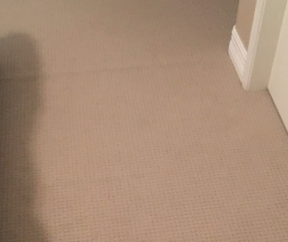 DISCOUNT CARPET BROKERS 11 Reviews Carpeting 14455 N 79th St