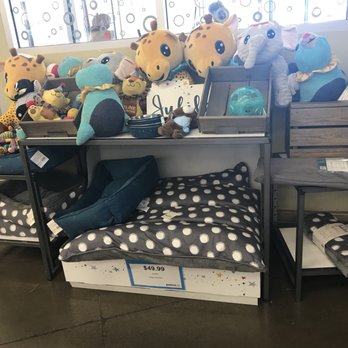 Petco - Thought all is this was super cute - Pet Stores Near Me - Redmond, Oregon Petco - Thought all is this was super cute - Pet Stores Near Me - Redmond, Oregon