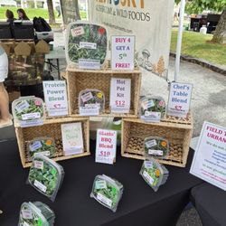 Field to Fork Urban Farm