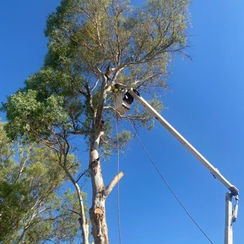 Ruff N Tuff Landscaping - Landscaping Murrieta - Ruff N Tuff Landscaping and Tree Services - Tree Services Near Me - Hemet, California Ruff N Tuff Landscaping - Landscaping Murrieta - Ruff N Tuff Landscaping and Tree Services - Tree Services Near Me - Hemet, California
