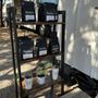 Photo of Thicket Food Park