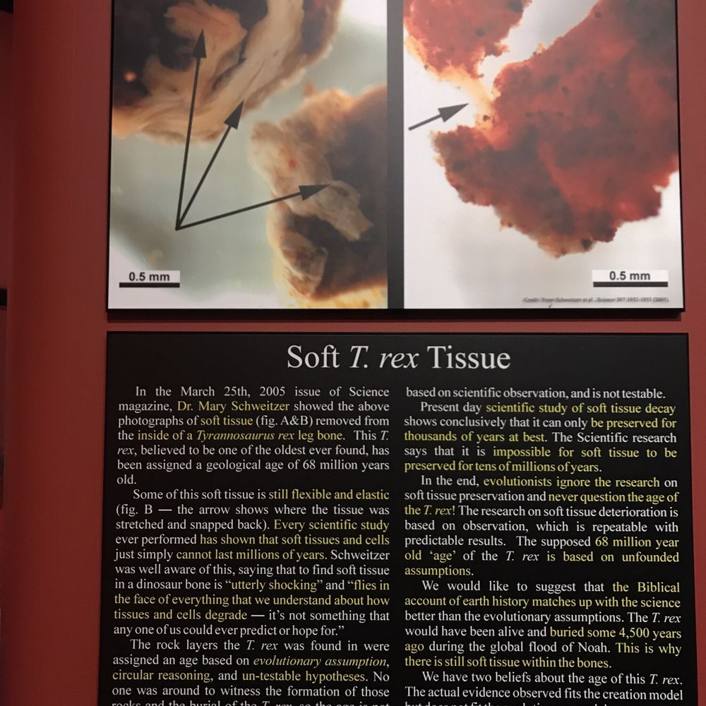 Big Valley Museum - Museums Near Me - Big Valley, Alberta