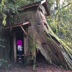 Guillemot Cove Nature Reserve - Stump house.
