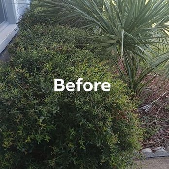 Michael Bosch Landscaping - Landscaping Near Me Michael Bosch Landscaping - Landscaping Near Me