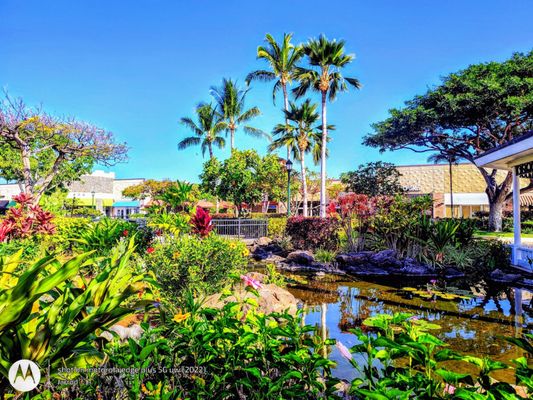 Queens' Marketplace by null