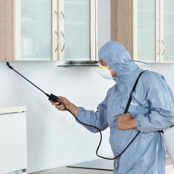 Empire Wildlife Removal - Pest Control Near Me Empire Wildlife Removal - Pest Control Near Me