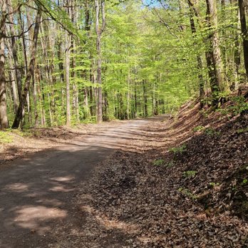 Hubertus-Weg - Wanderweg - Hiking Near Me