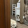 Grey Squirrel Resort & Vacation Rental Homes