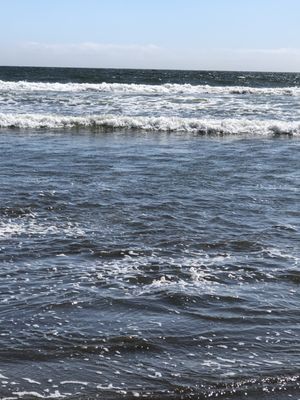 Stinson Beach by null