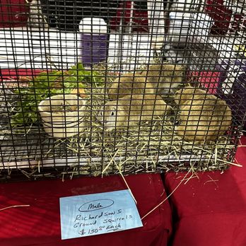 Mid-TN Expo - Prairie dogs - Venues & Event Spaces Near Me - Murfreesboro, Tennessee Mid-TN Expo - Prairie dogs - Venues & Event Spaces Near Me - Murfreesboro, Tennessee