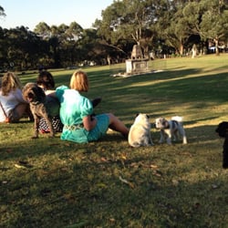 St Thomas' Rest Park - Doggy hour