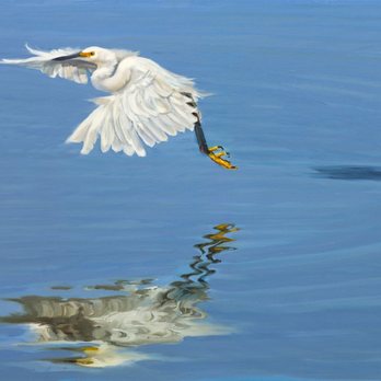 The New Studio for the Visual Arts - Laurie Snow Hein "Egret Reflection" Oil on Canvas - Art Classes Near Me - Jupiter, Florida