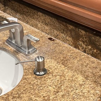 The Grand Theater - The restroom - Venues & Event Spaces Near Me - Anaheim, California The Grand Theater - The restroom - Venues & Event Spaces Near Me - Anaheim, California