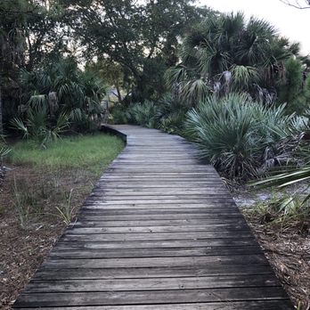 Maggy’s Hammock Park - Hiking Near Me - Stuart, Florida