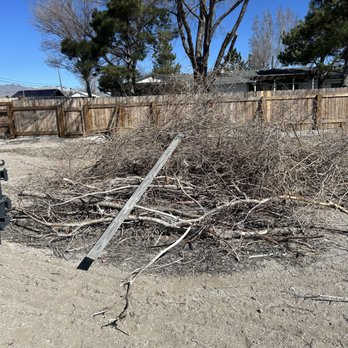 Reno Junk Pros - Tree trimmings , tumble weeds and misc hard waste - Junk Removal & Hauling Near Me
