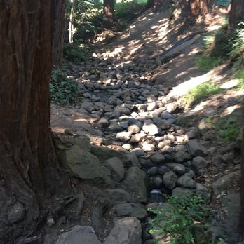 Piedmont Park - Parks Near Me - Piedmont, California
