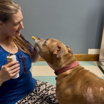 OVERWATCH ANIMAL HOSPITAL - Updated April 2026 - 40 Photos & 22 Reviews -  909 Mcclardy Rd, Clarksville, Tennessee - Veterinarians - Phone Number -  Yelp