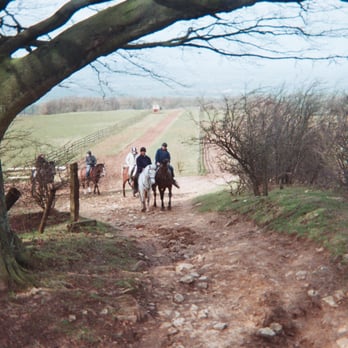 Jill Carenza Equestrian - Horseback Riding Near Me - Broadway, GLS
