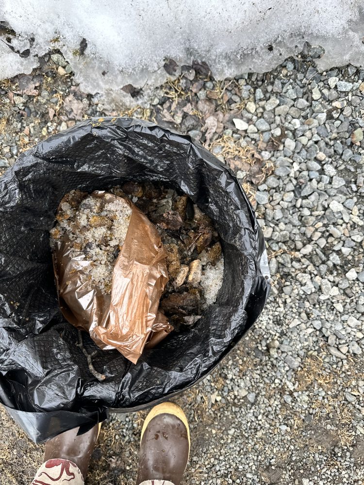 Slide of Arctic Eagle Property Maintenance