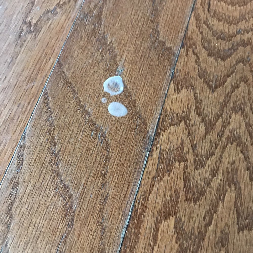 It's Maid Day - 2 of several milk stains around kitchen table and island. Staff was aware of these photos. - Home Cleaning Near Me - Kennesaw, Georgia It's Maid Day - 2 of several milk stains around kitchen table and island. Staff was aware of these photos. - Home Cleaning Near Me - Kennesaw, Georgia