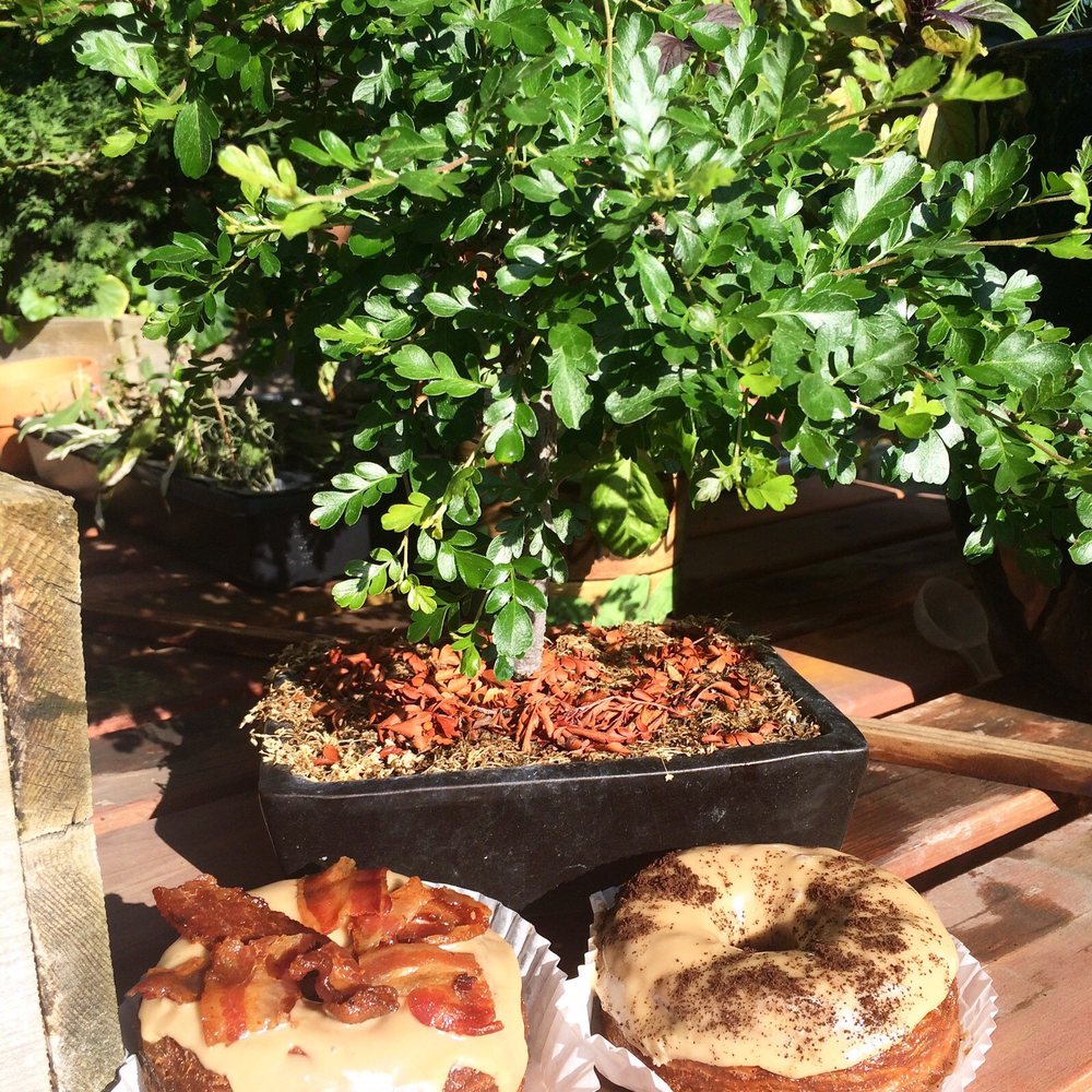 Bakers Donuts - Maple Bacon Cronut and an Espresso Cronut - Donuts Near Me - Sacramento, California Bakers Donuts - Maple Bacon Cronut and an Espresso Cronut - Donuts Near Me - Sacramento, California