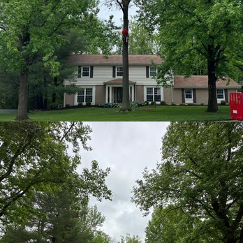 Big Timber Tree Care - Landscaping Near Me - O'Fallon, Missouri Big Timber Tree Care - Landscaping Near Me - O'Fallon, Missouri
