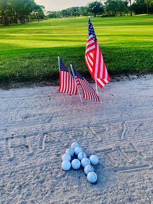 Palmetto-Pine Country Club by null