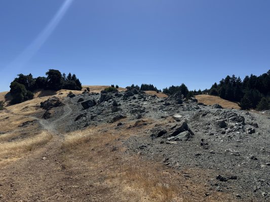 Mount Tamalpais State Park by null