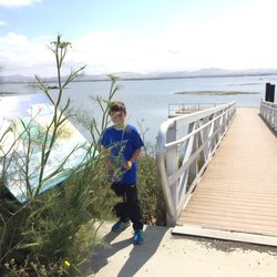 Napa-Sonoma Marshes Wildlife Area - #Yelp #NapaSonomaMarshesWildlifeArea