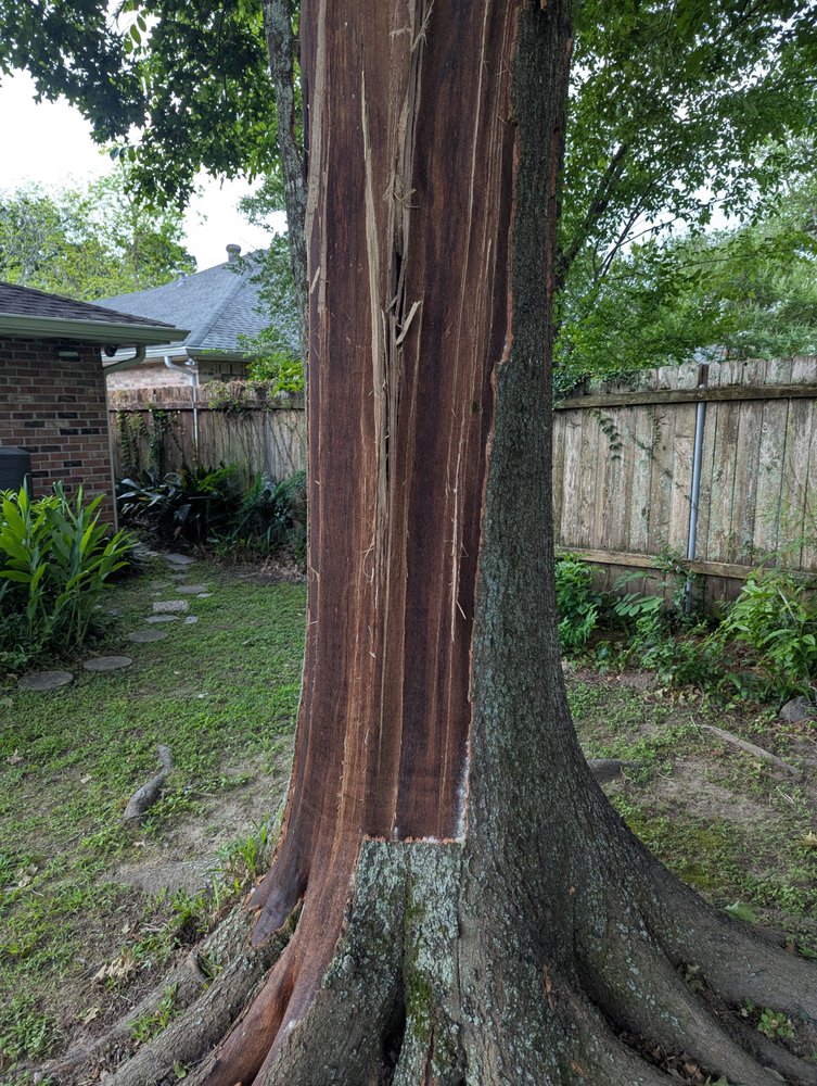 Risk Tree Service - tree service in Kenner, LA