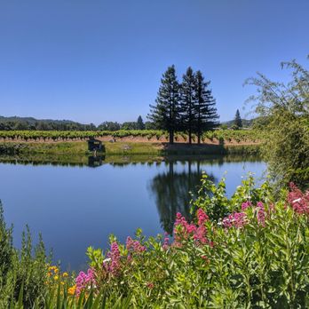 Testa Vineyards - Wineries Near Me - Calpella, California Testa Vineyards - Wineries Near Me - Calpella, California