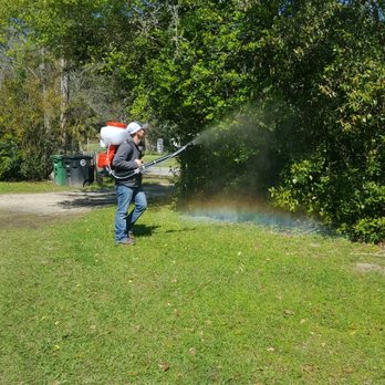 Capital City Pest Control - Mosquito Control - Pest Control Near Me - Tallahassee, Florida Capital City Pest Control - Mosquito Control - Pest Control Near Me - Tallahassee, Florida
