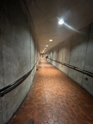 DuPont Circle by null