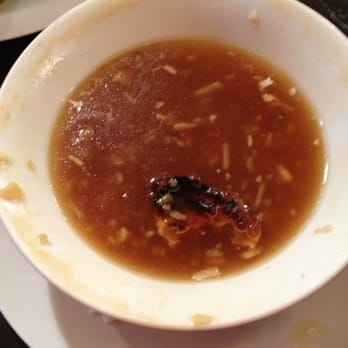 Le Sanseveria - Worst onion soup Ever! - Bars Near Me - Paris, 75 Le Sanseveria - Worst onion soup Ever! - Bars Near Me - Paris, 75