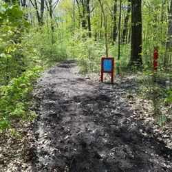 Wilderness Park & Bark Park - Fitness trail