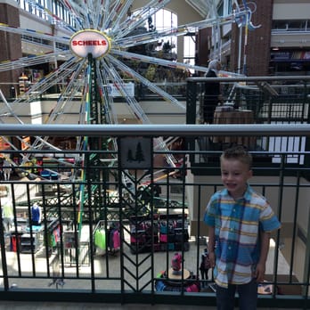 Scheels - Sports Wear Near Me - Springfield, Illinois