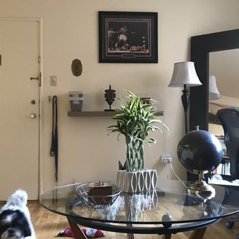 Vita Locators - Living room + Random Lap Dog - Apartment Agents Near Me - Denver, Colorado Vita Locators - Living room + Random Lap Dog - Apartment Agents Near Me - Denver, Colorado
