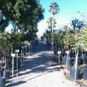 Yuma Nursery Supply - Nurseries & Gardening Near Me - Yuma, Arizona Yuma Nursery Supply - Nurseries & Gardening Near Me - Yuma, Arizona