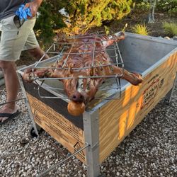 Mystic Lobster Rolls