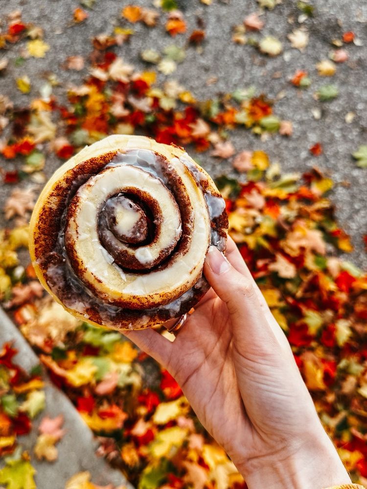 Old Village Bakery Logo